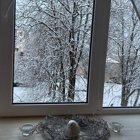 Cozy Studio Apartment In The Center Of Riga Exteriér fotografie